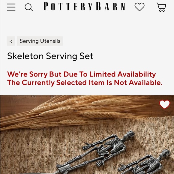 Pottery Barn Spooky Silver Metal Boxed Serving Set 💀 - Picture 12 of 12
